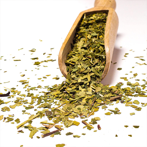 Wat is Yerba Mate Green en wat zijn de verschillen tussen de traditionele variëteit?