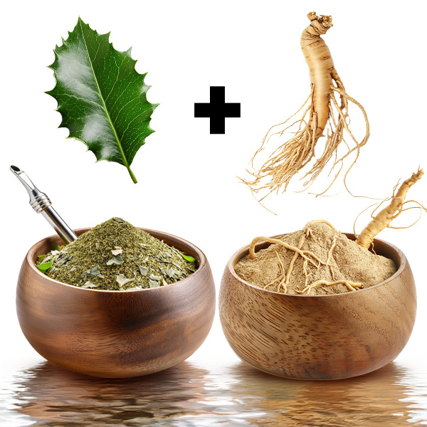 Ginseng. Het geheim van vitaliteit en concentratie uit het Verre Oosten