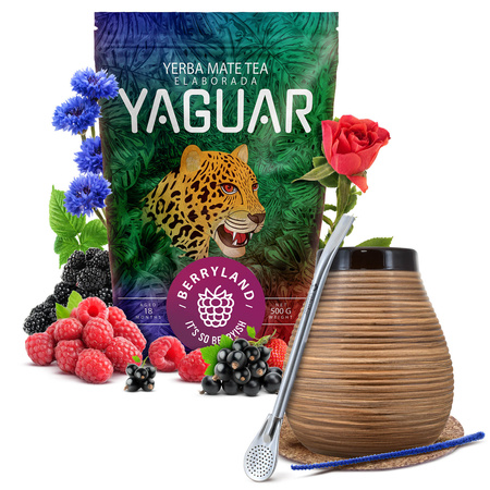 Yerba Mate Yaguar Berryland Startersset 500g